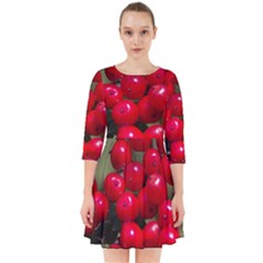 Red Berries 2 Smock Dress by trendistuff