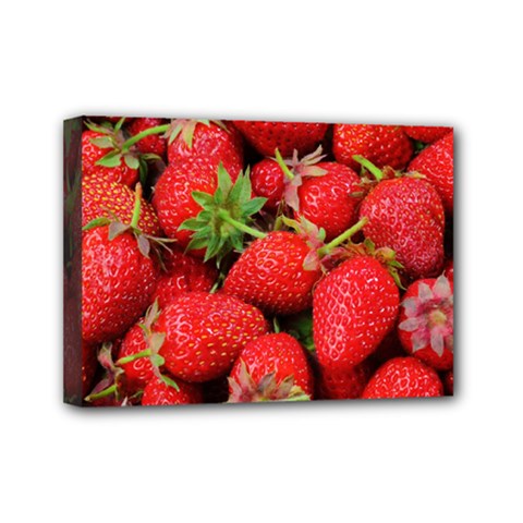 Strawberries 1 Mini Canvas 7  X 5  by trendistuff