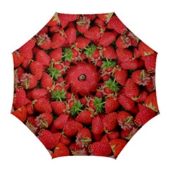 Strawberries 1 Golf Umbrellas by trendistuff