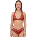 STRAWBERRIES 2 Double Strap Halter Bikini Set View1