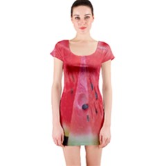 Watermelon 1 Short Sleeve Bodycon Dress by trendistuff