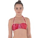 WATERMELON 1 Halter Bandeau Bikini Top View1