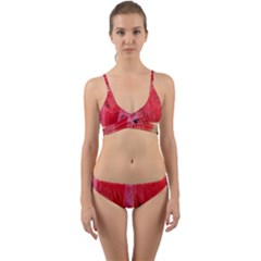 Watermelon 1 Wrap Around Bikini Set by trendistuff