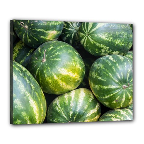 Watermelon 2 Canvas 20  X 16  by trendistuff