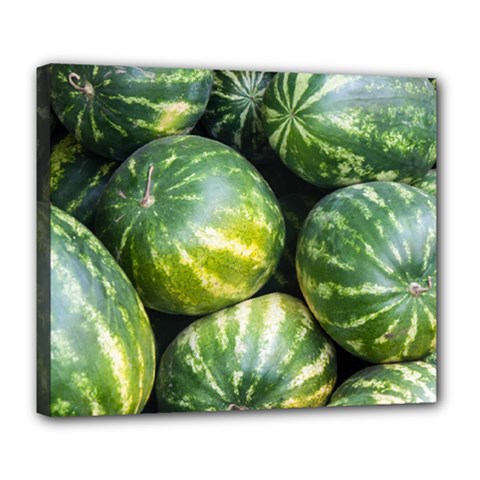 Watermelon 2 Deluxe Canvas 24  X 20   by trendistuff