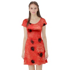 Watermelon 3 Short Sleeve Skater Dress by trendistuff