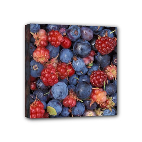 Wild Berries 1 Mini Canvas 4  X 4  by trendistuff