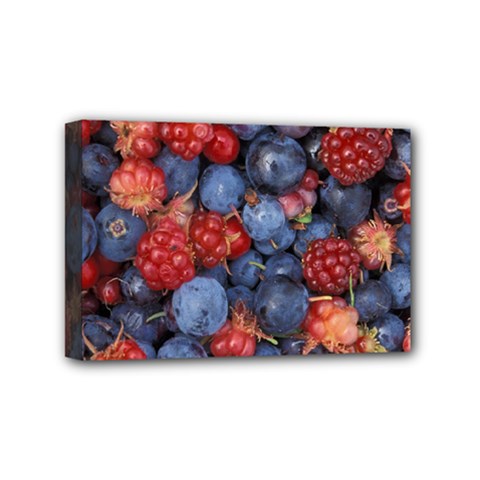 Wild Berries 1 Mini Canvas 6  X 4  by trendistuff