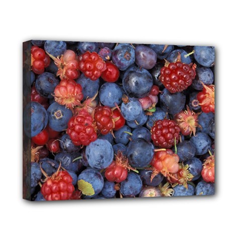 Wild Berries 1 Canvas 10  X 8  by trendistuff