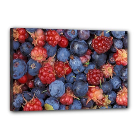 Wild Berries 1 Canvas 18  X 12  by trendistuff