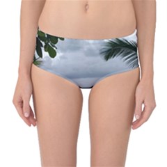 Through The Trees  Mid-waist Bikini Bottoms