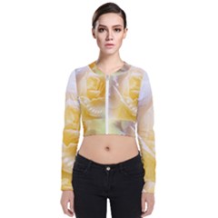 Beautiful Yellow Rose Bomber Jacket by FantasyWorld7