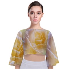 Beautiful Yellow Rose Tie Back Butterfly Sleeve Chiffon Top