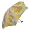 Beautiful Yellow Rose Mini Folding Umbrellas View2