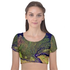 Lena River Delta A Photo Of A Colorful River Delta Taken From A Satellite Velvet Short Sleeve Crop Top  by Simbadda