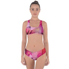 Wonderful Butterflies With Dragonfly Criss Cross Bikini Set by FantasyWorld7