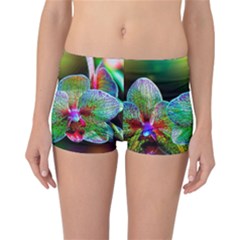 Alien Orchids Floral Art Photograph Reversible Boyleg Bikini Bottoms by Sapixe