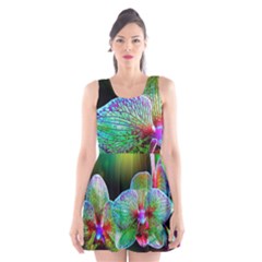 Alien Orchids Floral Art Photograph Scoop Neck Skater Dress by Sapixe