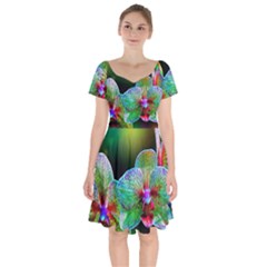 Alien Orchids Floral Art Photograph Short Sleeve Bardot Dress by Sapixe