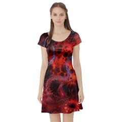 Art Space Abstract Red Line Short Sleeve Skater Dress by Sapixe