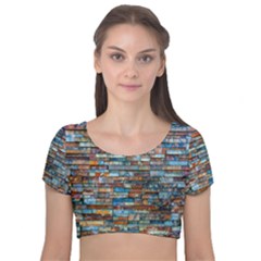 Colorful-21 Velvet Short Sleeve Crop Top 