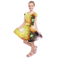 Celebration Colorful Fireworks Beautiful Kids  Short Sleeve Dress by Sapixe