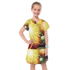 Celebration Colorful Fireworks Beautiful Kids  Drop Waist Dress by Sapixe