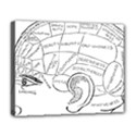 Brain Chart Diagram Face Fringe Deluxe Canvas 20  x 16   View1