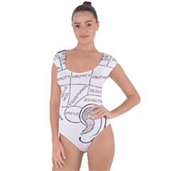 Brain Chart Diagram Face Fringe Short Sleeve Leotard  by Nexatart