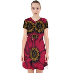 Floral Flower Petal Plant Adorable In Chiffon Dress by Nexatart