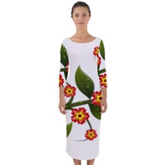 Flower Branch Nature Leaves Plant Quarter Sleeve Midi Bodycon Dress by Nexatart