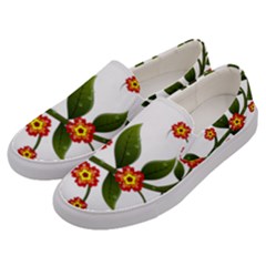 Flower Branch Nature Leaves Plant Men s Canvas Slip Ons by Nexatart