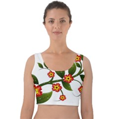 Flower Branch Nature Leaves Plant Velvet Crop Top