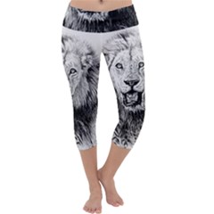 Lion Wildlife Art And Illustration Pencil Capri Yoga Leggings by Nexatart