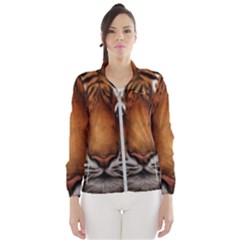 The Tiger Face Wind Breaker (women) by Nexatart