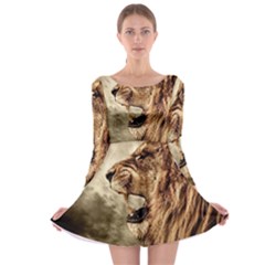 Roaring Lion Long Sleeve Skater Dress by Nexatart