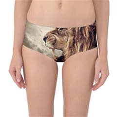 Roaring Lion Mid-waist Bikini Bottoms by Nexatart