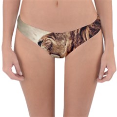 Roaring Lion Reversible Hipster Bikini Bottoms by Nexatart