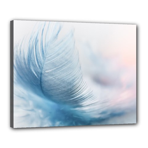 Feather Ease Slightly Blue Airy Canvas 20  X 16  by Nexatart