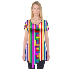 Rainbow Geometric Design Spectrum Short Sleeve Tunic  by Nexatart