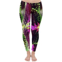 Plant Purple Green Leaves Garden Classic Winter Leggings by Nexatart