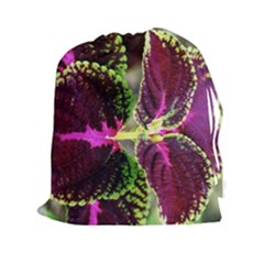 Plant Purple Green Leaves Garden Drawstring Pouches (xxl) by Nexatart