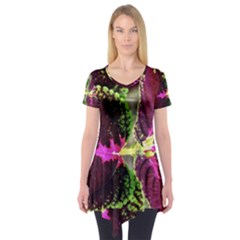 Plant Purple Green Leaves Garden Short Sleeve Tunic  by Nexatart