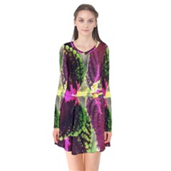 Plant Purple Green Leaves Garden Flare Dress by Nexatart