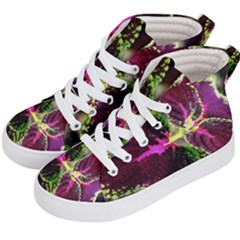 Plant Purple Green Leaves Garden Kid s Hi-top Skate Sneakers by Nexatart