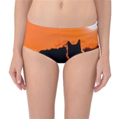 Sunset Cat Shadows Silhouettes Mid-waist Bikini Bottoms by Nexatart