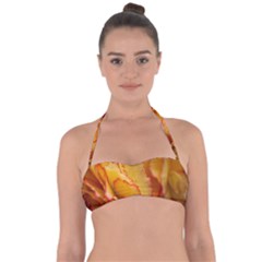 Flowers Leaves Leaf Floral Summer Halter Bandeau Bikini Top by Nexatart