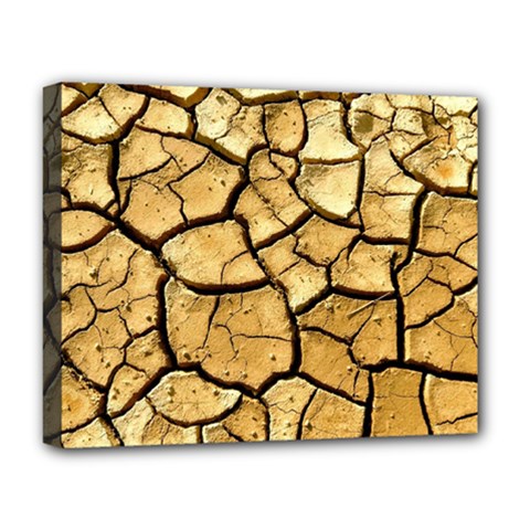 Dry Ground Deluxe Canvas 20  X 16   by Sapixe