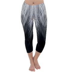 Feather Graphic Design Background Capri Winter Leggings  by Sapixe