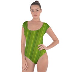 Green Leaf Pattern Plant Short Sleeve Leotard  by Sapixe